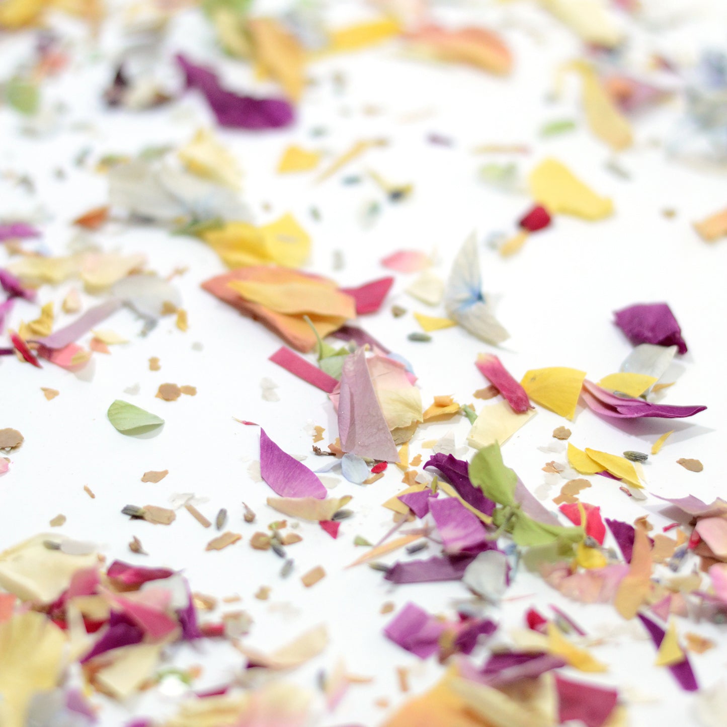 Biodegradable Confetti