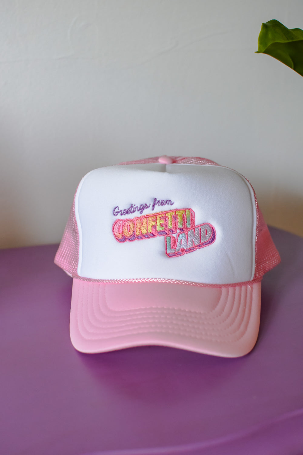 "Greetings From Confetti Land" Embroidered Trucker Hat