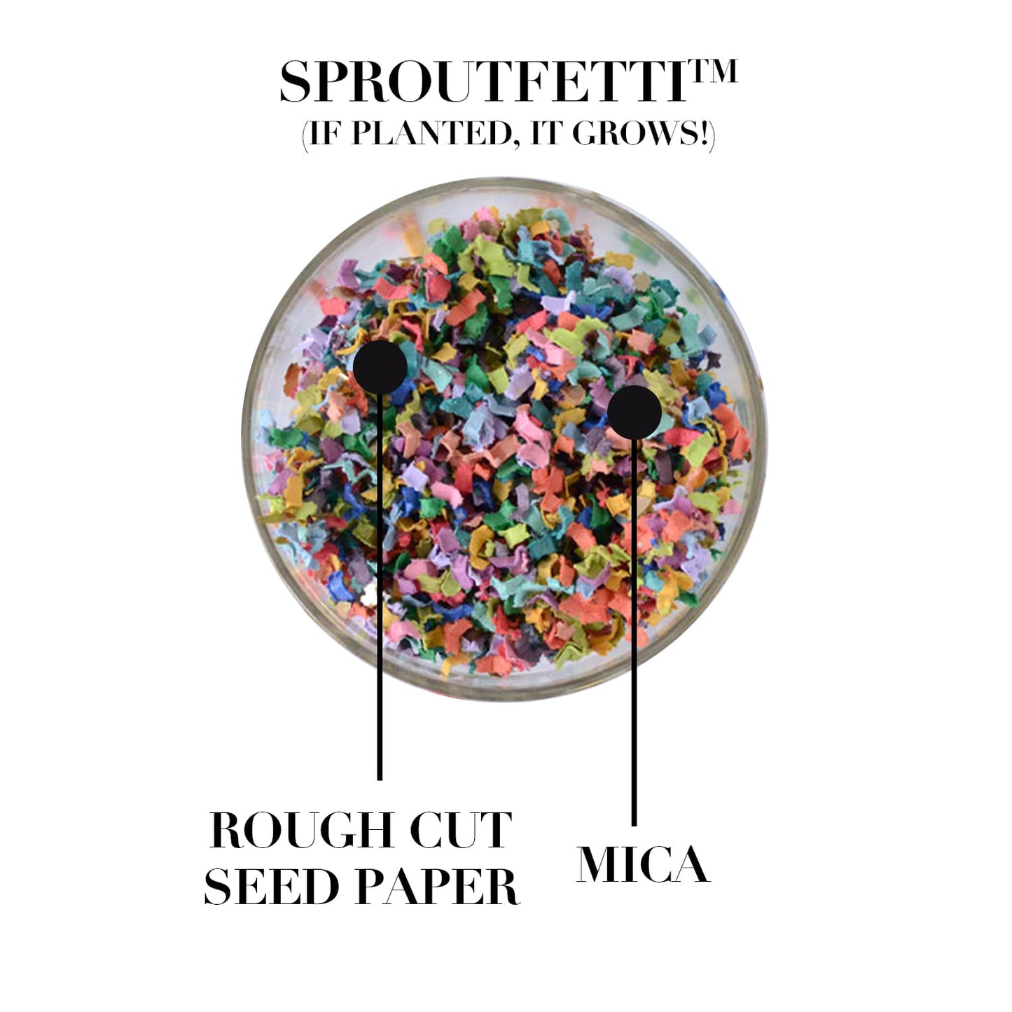 Mystery Biodegradable Confetti Mix